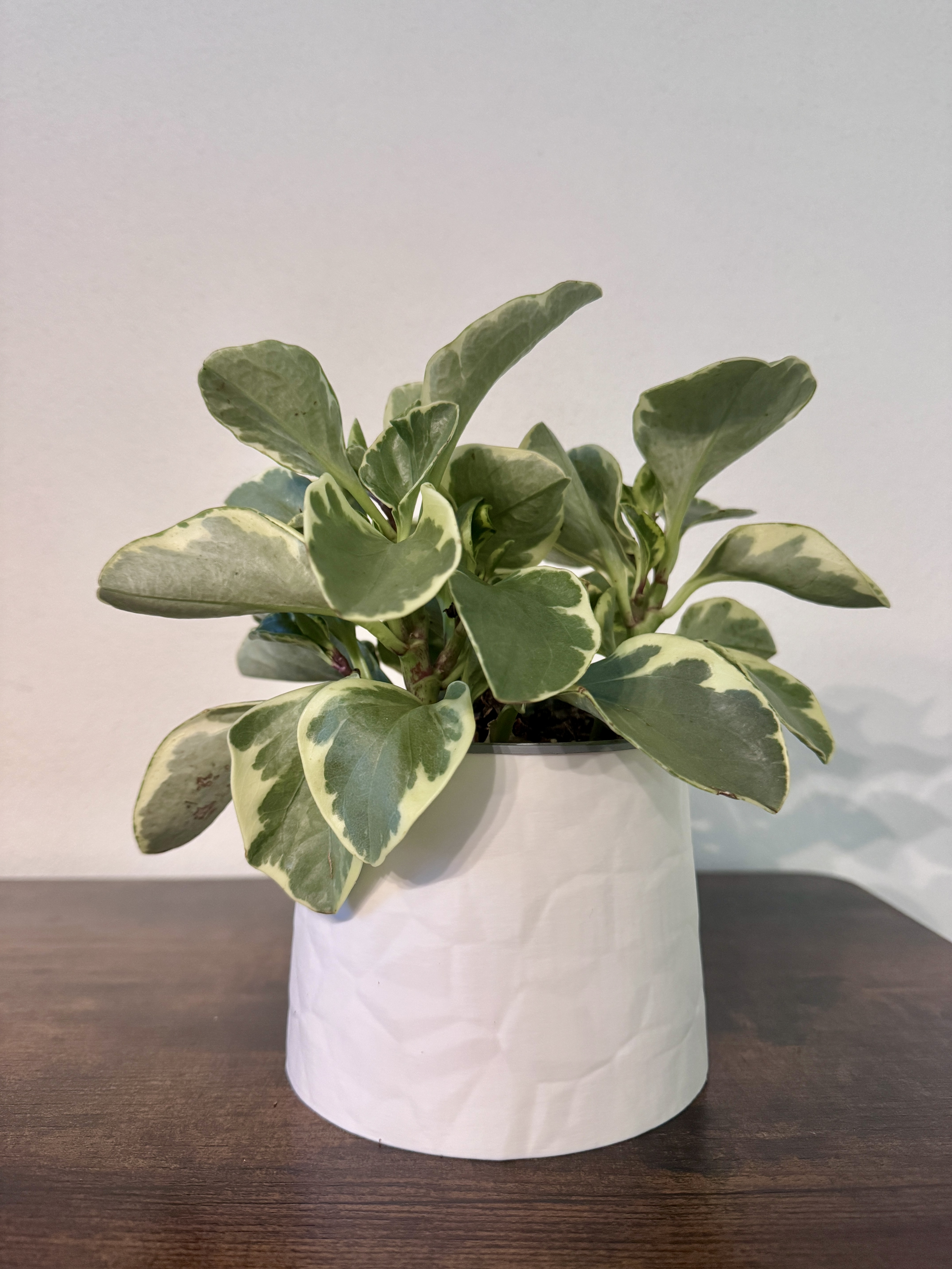 3D-gedruckte Vase